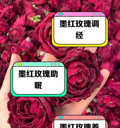 精选墨红玫瑰的花语是什么？它有何特别之处？