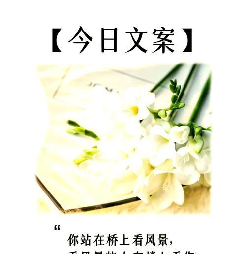 蜜月香雪兰的花语有何寓意？