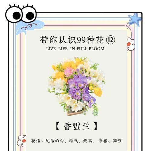 蜜月香雪兰的花语有何寓意？
