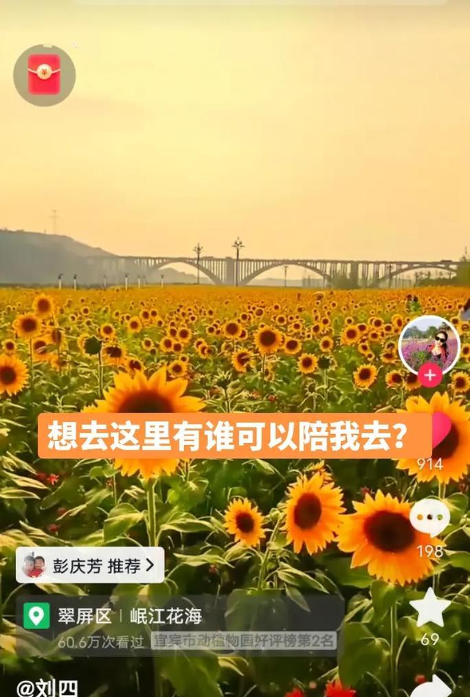 如何用花语形容bug？浪漫的花语有哪些？