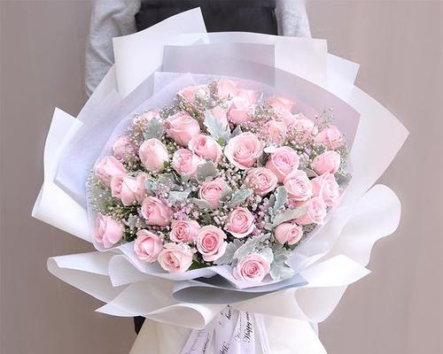 玫瑰花搭配哪种花寓意最佳？