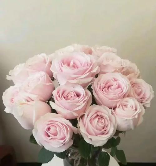 粉丝送玫瑰给刘筱亭有何深意？花语中隐藏了什么？