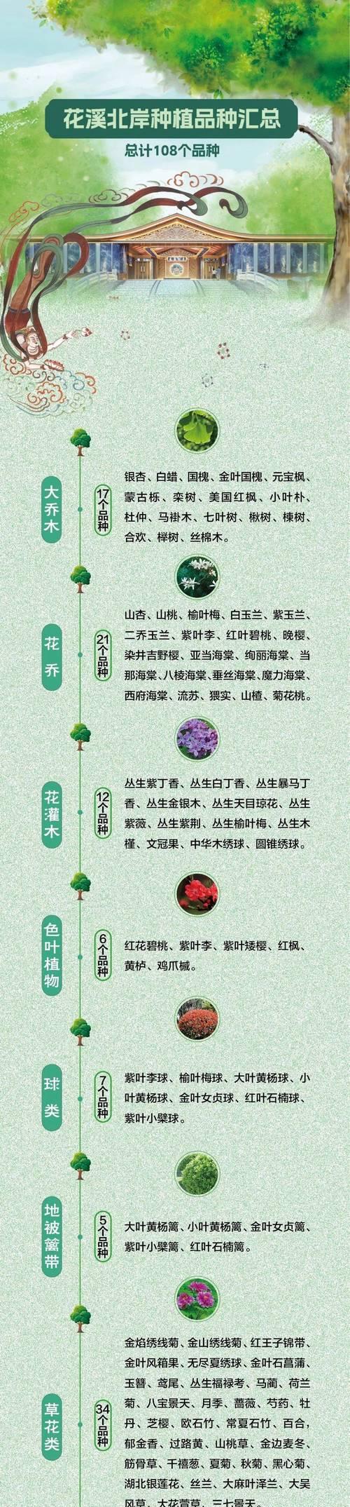 鸟鸣的花语有何含义？它象征着什么？