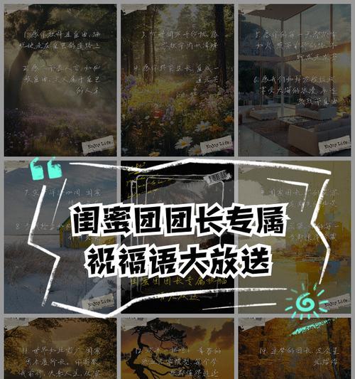 团队祝福时应选择哪种花语？