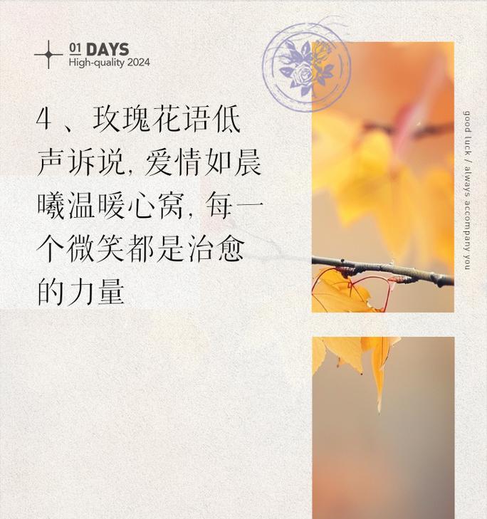 温柔冷淡的花语：含蓄中的深意解读