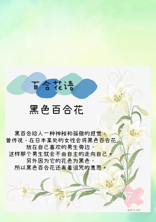 温柔冷淡的花语：含蓄中的深意解读