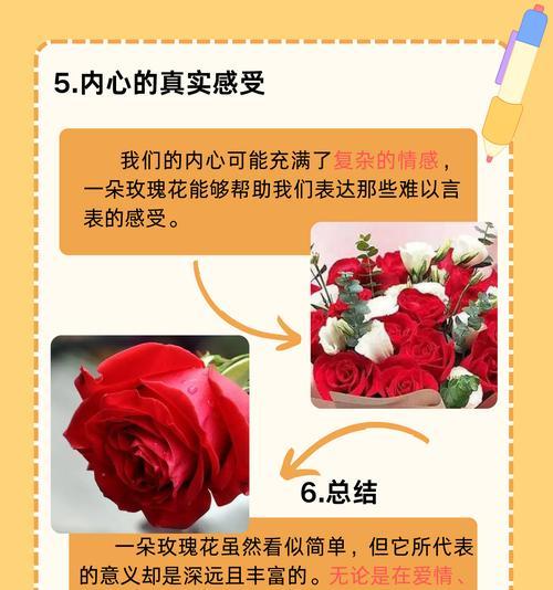 小太阳玫瑰花的寓意与情感表达深度解析
