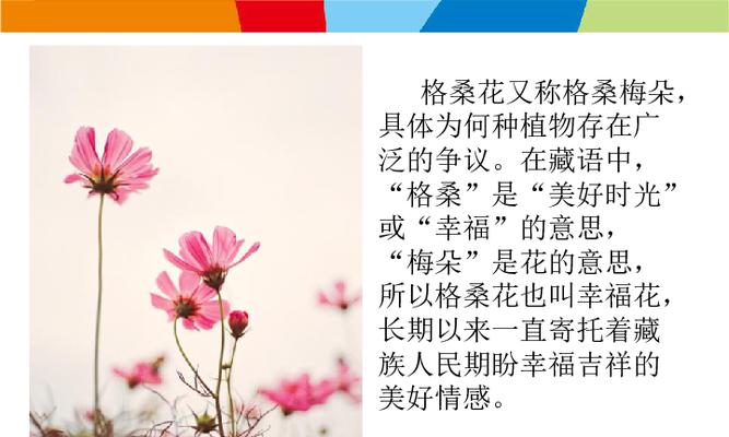 花语与寓意的区别在哪里？它们之间存在怎样的联系？
