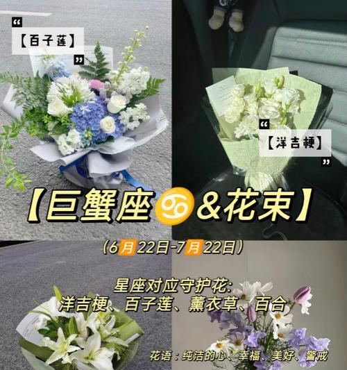 双鱼座的花语有哪些？