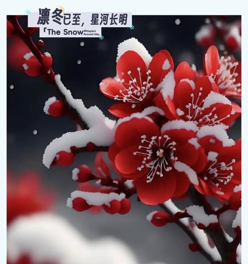 梅花花语代表了哪些含义？-探索梅花的花语与文化内涵