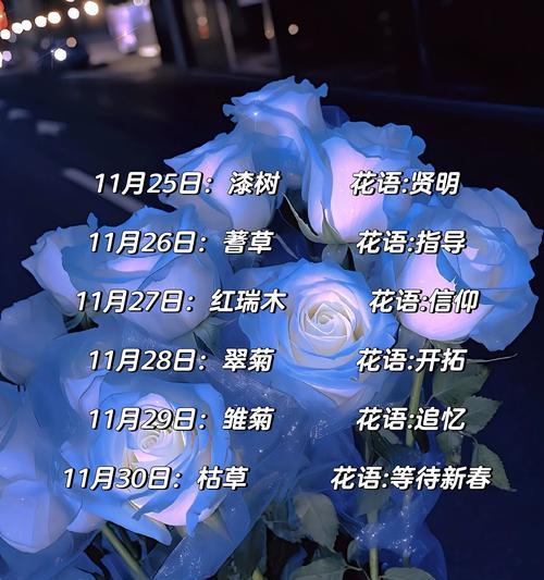 不同季节的花语有何不同？每个时期花语的含义是什么？