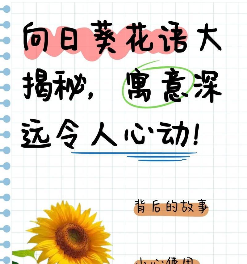 不同季节的花语有何不同？每个时期花语的含义是什么？