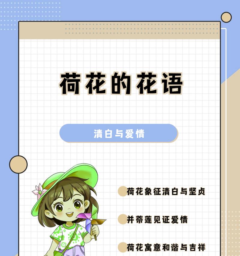 荷花的花语有哪些特别的含义？