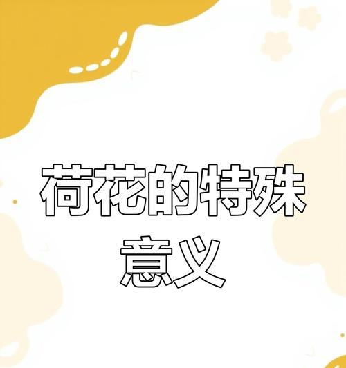 荷花的花语有哪些特别的含义？