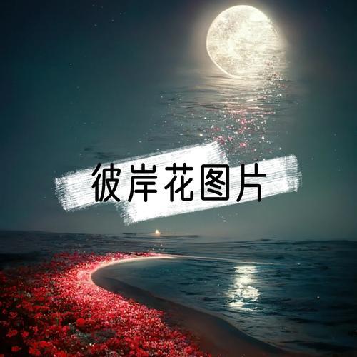 彼岸花的花语有哪些含义？