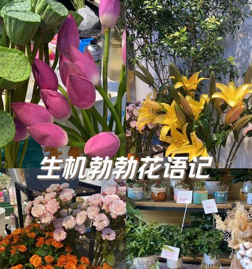 花店老板的花语有何深意？他们通常选择什么花？
