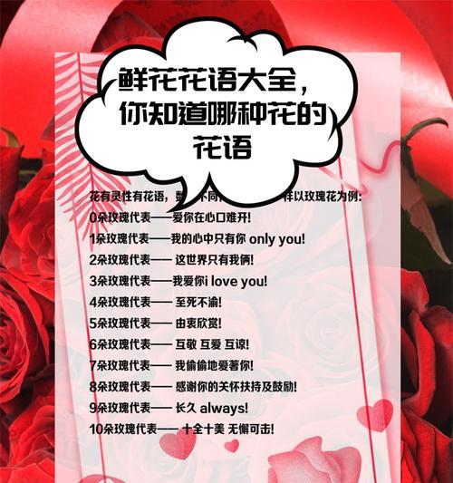 让人惦记的玫瑰花语有何深意？它代表了哪种情感？