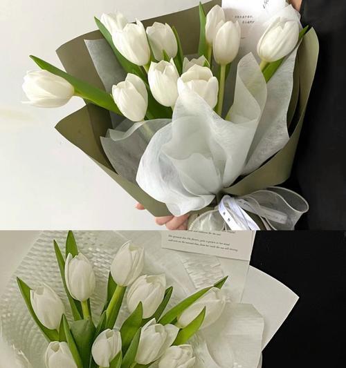 如何选择送给女朋友的花语？掌握花语，让爱意传递更动人