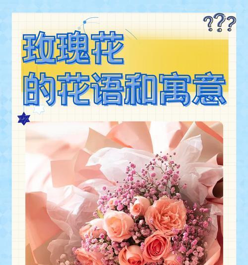 考上岸的祝福：哪种花语最能表达心意？