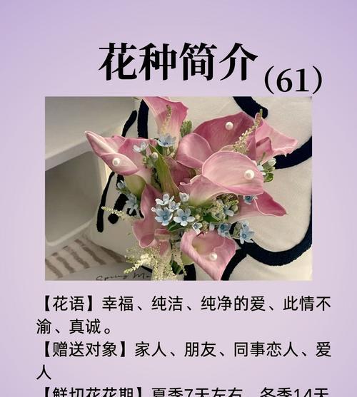 哪种花的花语象征着逃避爱情？它在情感表达中如何使用？