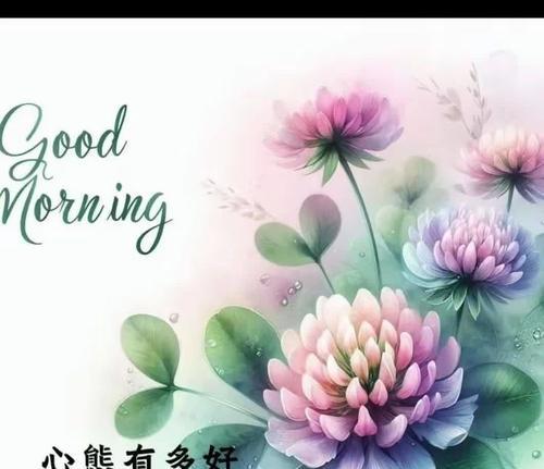 用心养育了二十年的花语是什么？哪种花代表了长时间的养育？