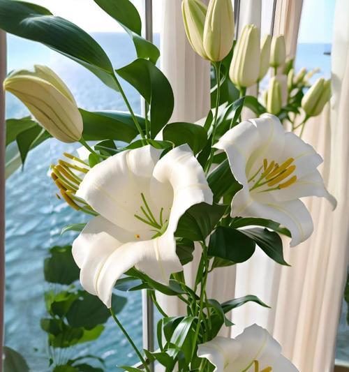 百合花的花语是什么？百合花代表了哪些美好寓意？