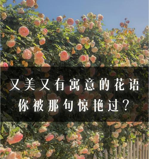 粉樱花：爱情与希望的使者