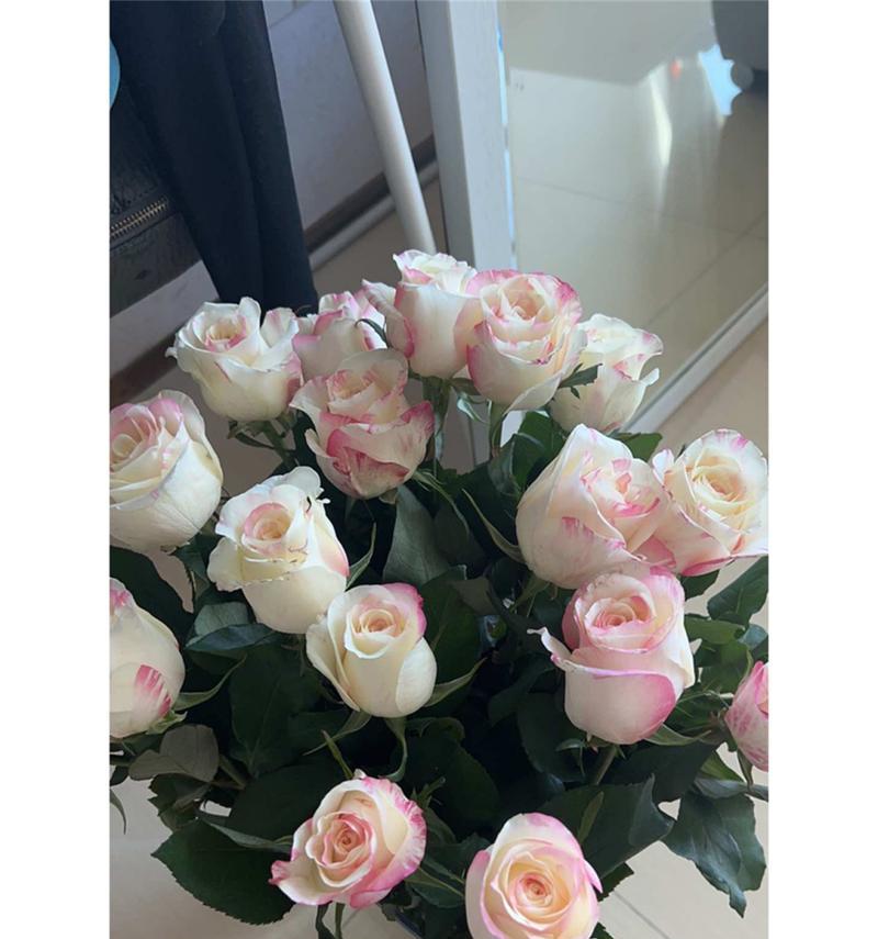 霓裳玫瑰的花语与寓意深度解析