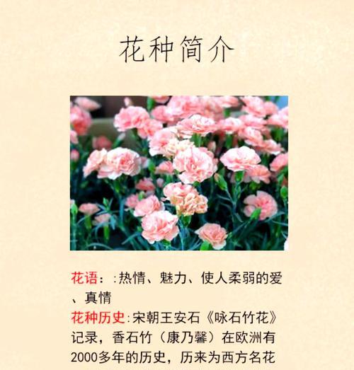 花语馨交房时间是什么时候？全面解析及准备指南