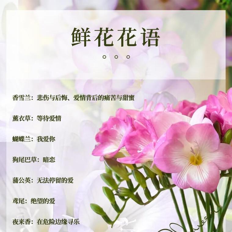 何种花卉象征着永恒不变的爱？
