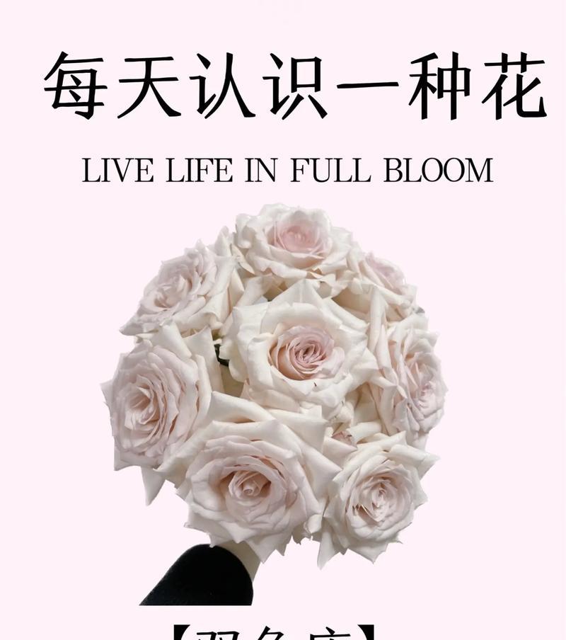 送女朋友花语怎么写？哪种花语最适合表白？