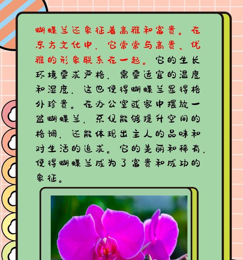阴暗的花语和寓意代表了什么？