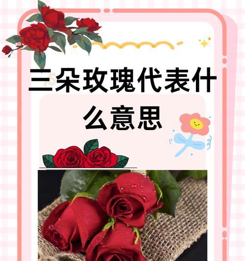 喷的绿色玫瑰的花语揭秘：它所传递的情感信息