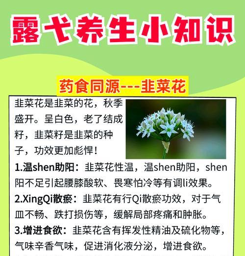 韭菜与水仙：花卉界的象征与花语解析