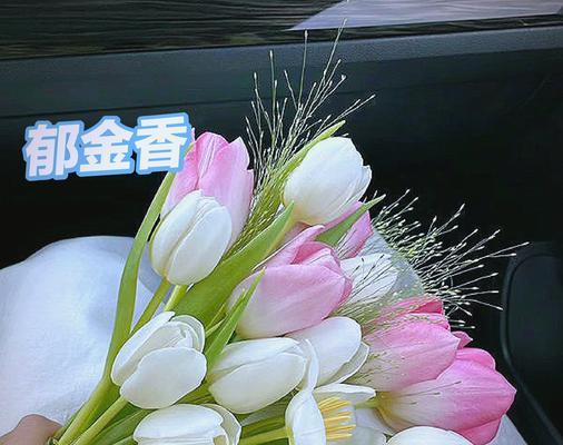 郁金香的花语代表什么含义？