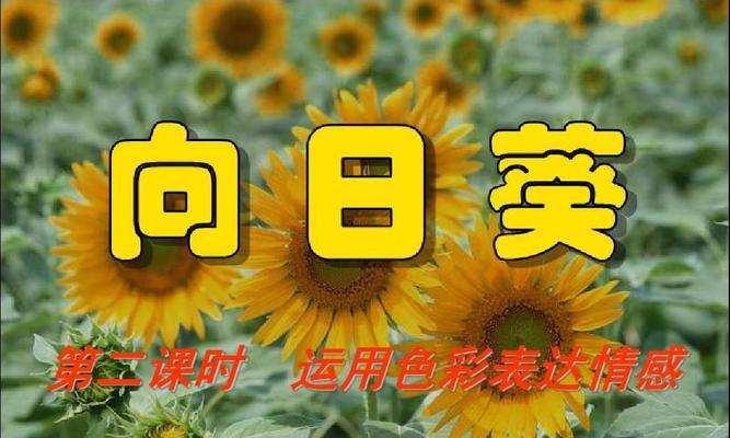 在你眼里看到了花语有何含义？这表达了怎样的情感？