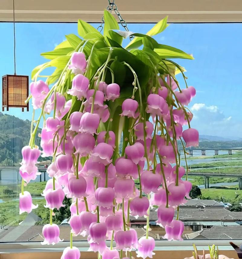 赤裸裸的爱用什么花表达？花语中如何体现这种情感？