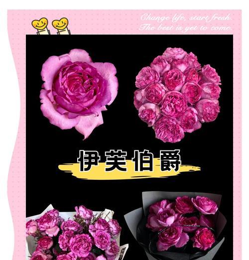 哪种花的花语暗含爱恋？