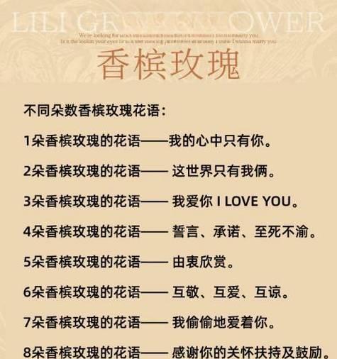 红袖玫瑰的花语代表什么？