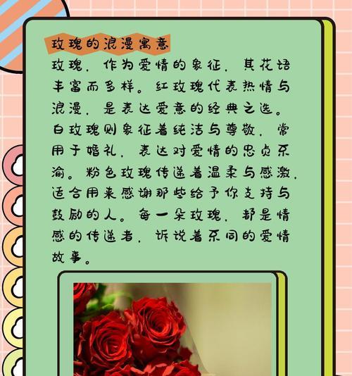 描述人热情活泼的花语是什么？哪种花代表热情与活力？
