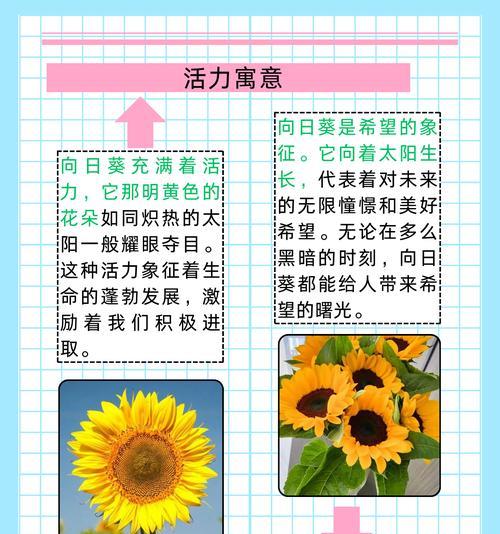 文章标题