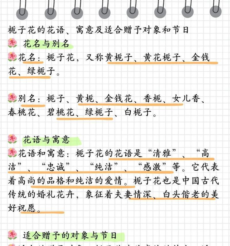 妈妈送的花花语代表什么含义？