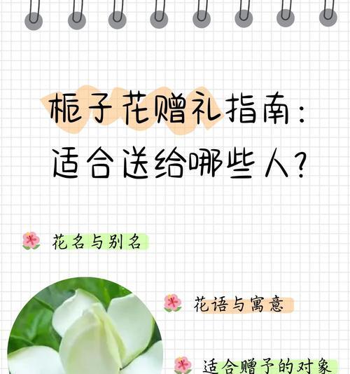 妈妈送的花花语代表什么含义？
