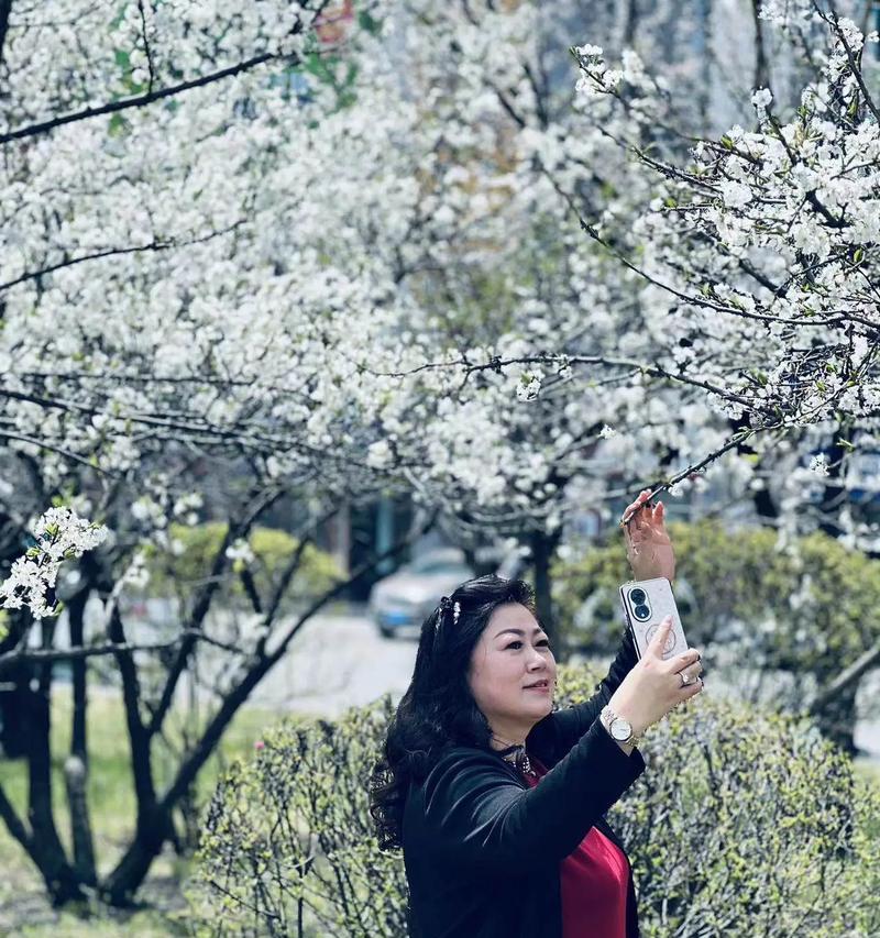 眉中花语代表的含义是什么？