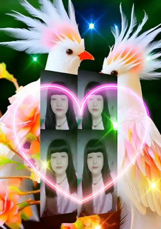 眉中花语代表的含义是什么？