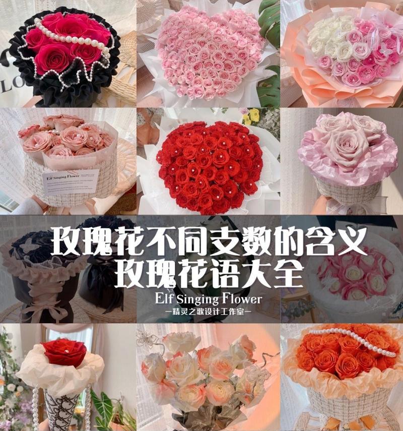 唯一的玫瑰花代表什么？花语中隐藏的含义是什么？