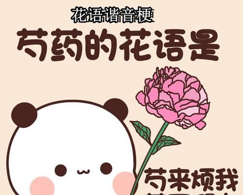 芍药花的花语与传统意义：美丽背后的寓意