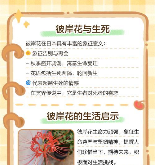 蝶中花象征着什么？它的花语有何寓意？