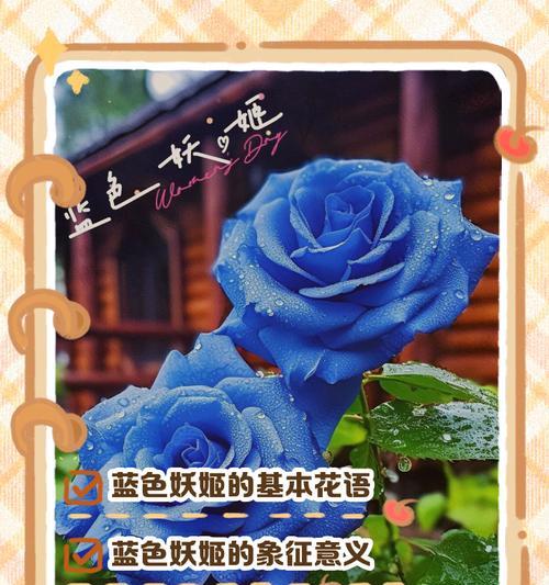 什么话花语代表梦境？如何用花语表达梦幻意境？