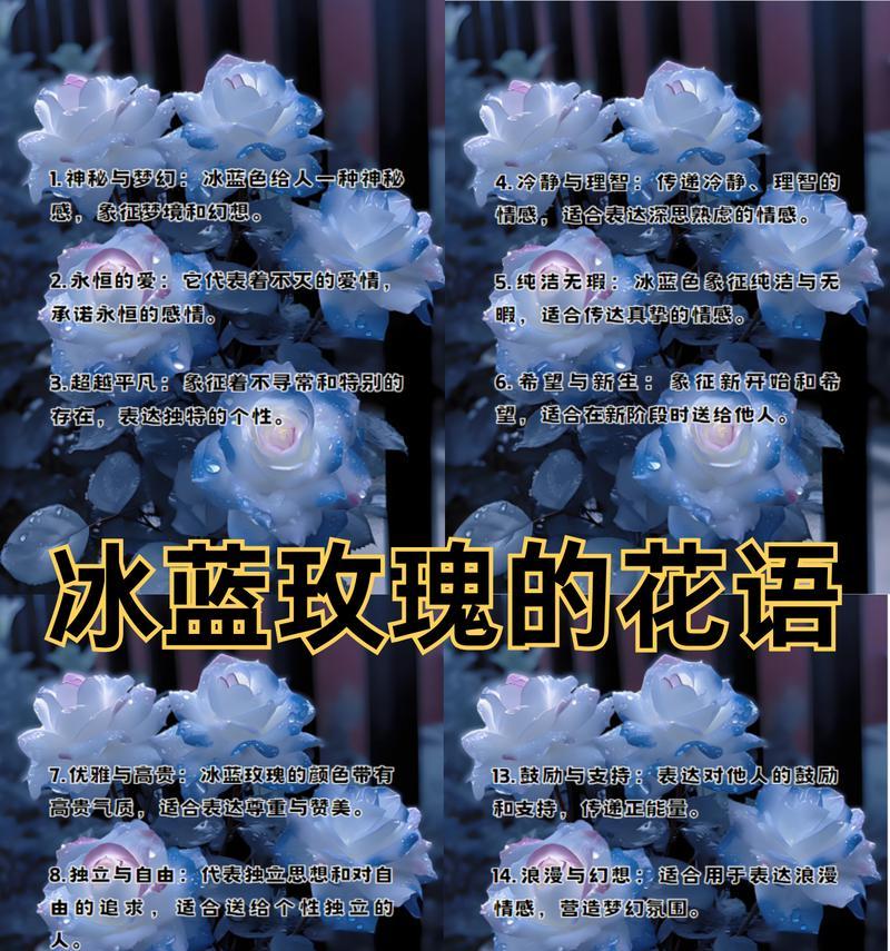 肉色玫瑰的花语和寓意深度解读